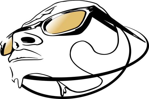 distrobuddy Logo